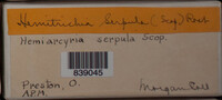 Image Associated With the Occurence